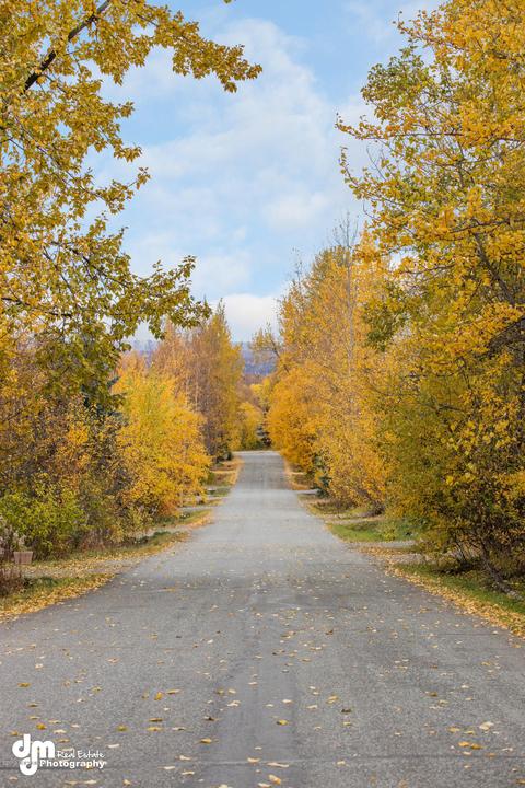 18847 Man O War Rd, Eagle River, AK 99577 photo 38
