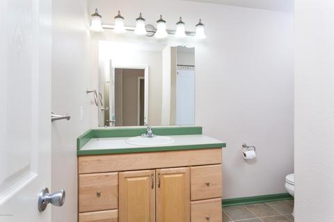 11064 Bow Cir, Anchorage, AK 99515 photo 44