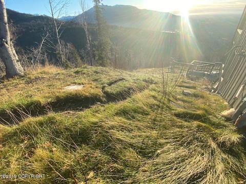 19720 Canyon View Dr, Eagle River, AK 99577 photo 4