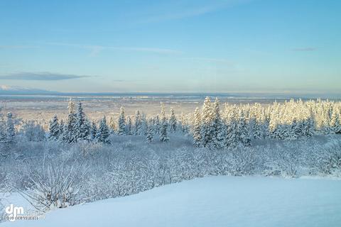 8111 Upper Huffman Rd, Anchorage, AK 99516 photo 60