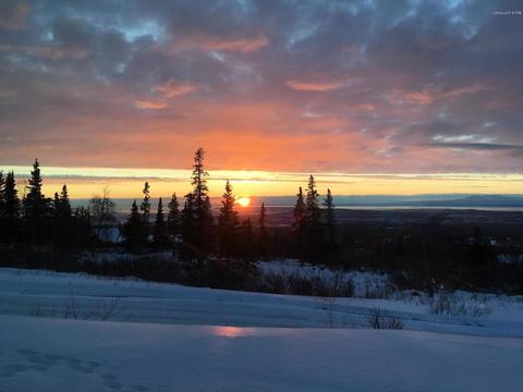 8111 Upper Huffman Rd, Anchorage, AK 99516 photo 75
