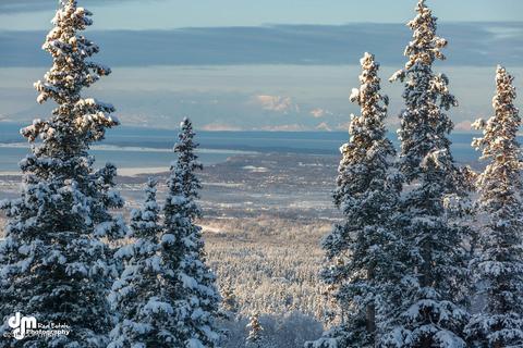 8111 Upper Huffman Rd, Anchorage, AK 99516 photo 62