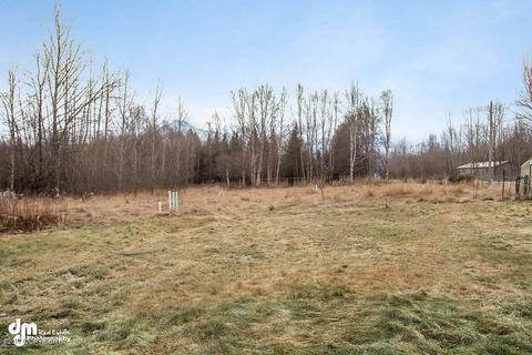 16975 E Outer Springer Loop, Palmer, AK 99645 photo 35