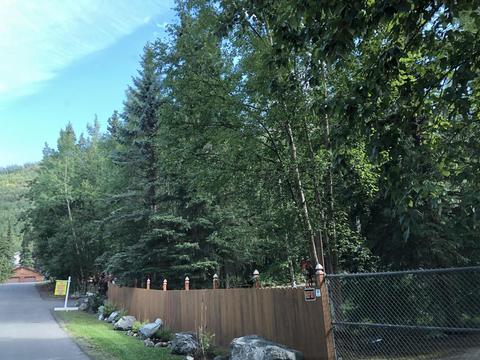 10229 Louis Pl, Eagle River, AK 99577 photo 42