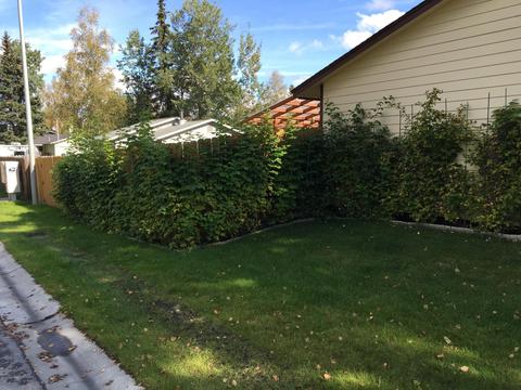 11469 Mausel St, Eagle River, AK 99577 photo 27