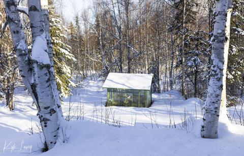23001 Sumac Dr, Chugiak, AK 99567 photo 30