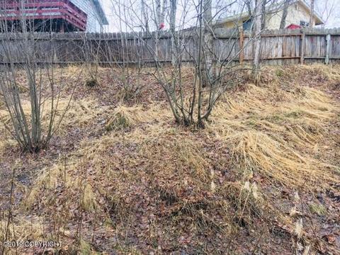 6900 Foothill Dr, Anchorage, AK 99504 photo 18