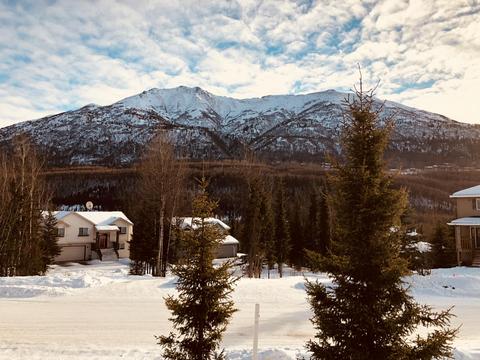 19323 Trail Bay Dr, Eagle River, AK 99577 photo 34
