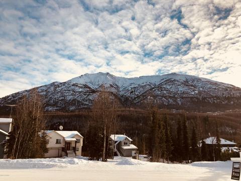 19323 Trail Bay Dr, Eagle River, AK 99577 photo 2