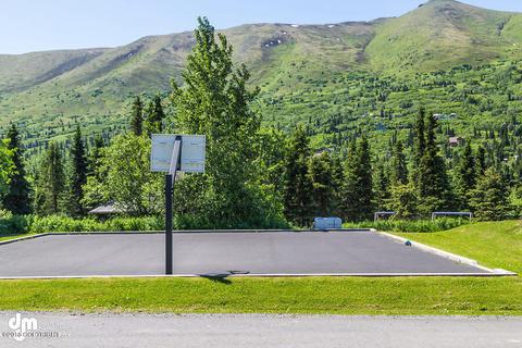 4150 Elkhorn Dr, Eagle River, AK 99577 photo 76