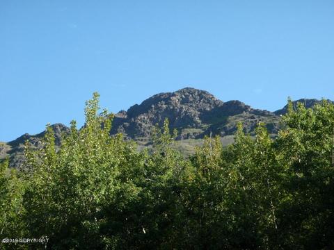 24011 Oriedner Rd, Eagle River, AK 99577 photo 38