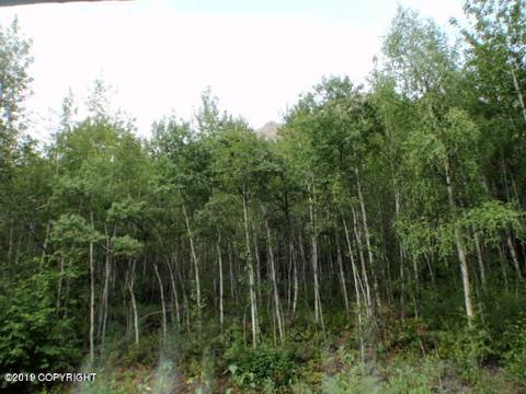 24011 Oriedner Rd, Eagle River, AK 99577 photo 42
