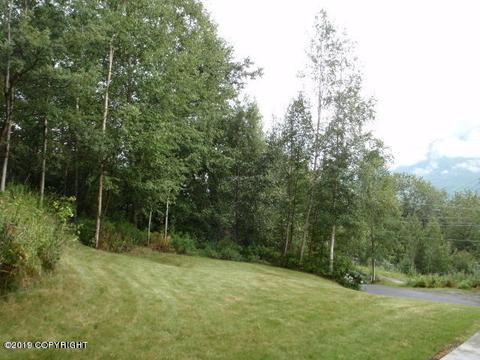 24011 Oriedner Rd, Eagle River, AK 99577 photo 39