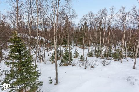 13240 Crestview Dr, Anchorage, AK 99516 photo 35