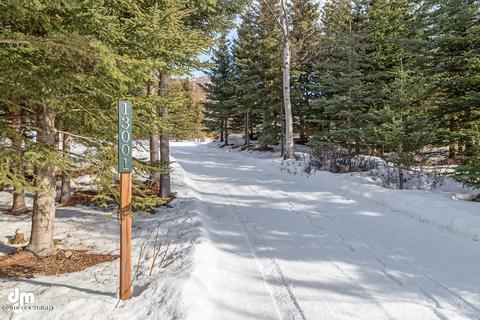13001 Patrick Rd, Anchorage, AK 99516 photo 6