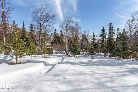 13001 Patrick Rd, Anchorage, AK 99516 photo 14