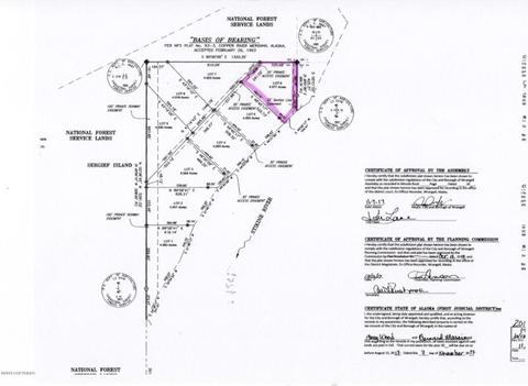 L6 Rivers Edge, Wrangell, AK 99929 photo 3