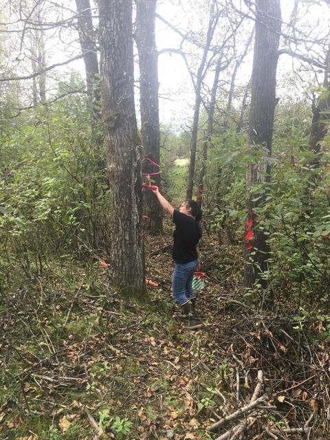 L9 Rivers Edge, Wrangell, AK 99929 photo 6