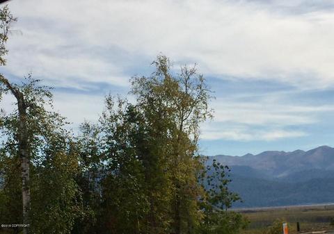 4982 E Henhouse Loop, Wasilla, AK 99654 photo 45