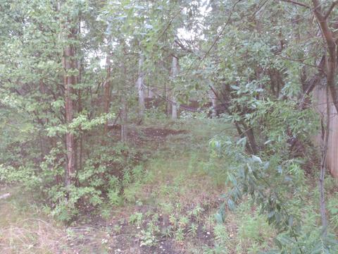 18615 S Kanaga Loop, Eagle River, AK 99577 photo 10