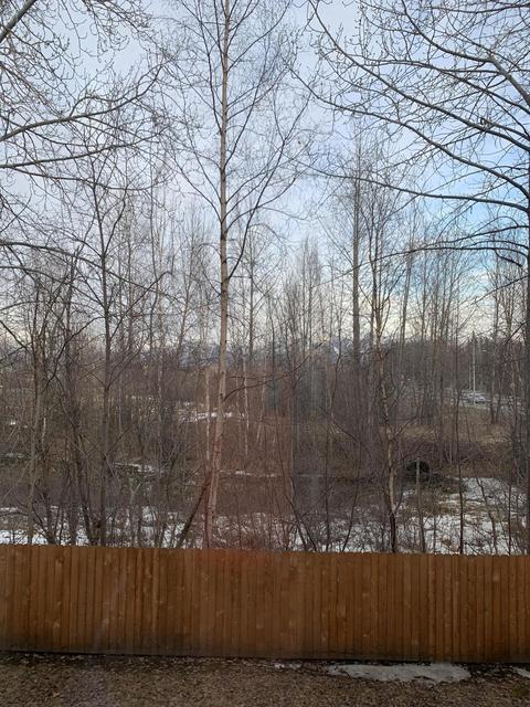 1881 E Tudor Rd # E-202, Anchorage, AK 99507 photo 19