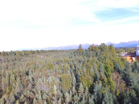 2137 Casey Cusack Loop, Anchorage, AK 99515 photo 32