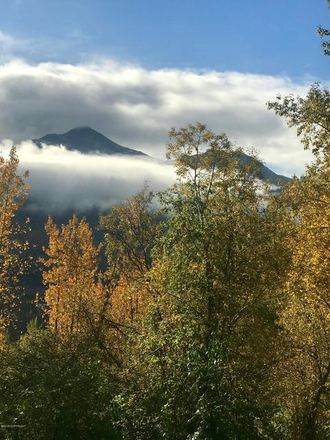 25534 Berryhill Rd, Eagle River, AK 99577 photo 31