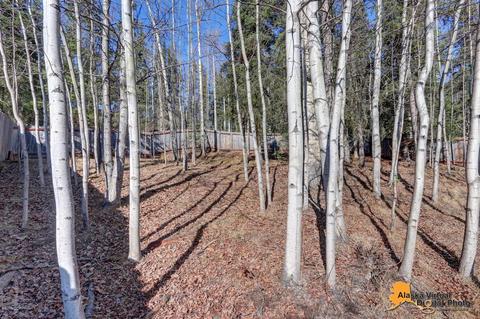 19205 Trail Bay Dr, Eagle River, AK 99577 photo 29