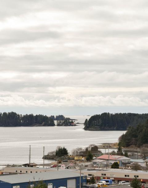 334 Eliason Loop, Sitka, AK 99835 photo 34