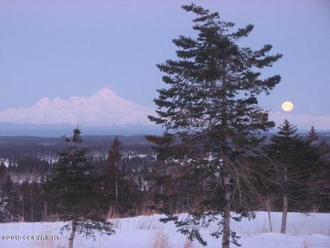 67514 Endless View Loop, Homer, AK 99603 photo 63