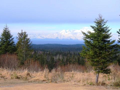 67514 Endless View Loop, Homer, AK 99603 photo 48