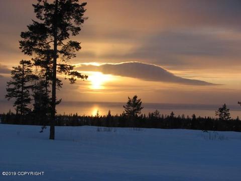 67514 Endless View Loop, Homer, AK 99603 photo 65