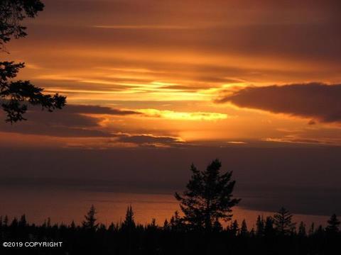 67514 Endless View Loop, Homer, AK 99603 photo 67