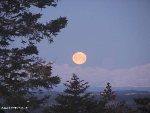 67514 Endless View Loop, Homer, AK 99603 photo 64