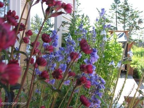 67514 Endless View Loop, Homer, AK 99603 photo 49