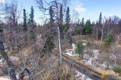 6351 Farpoint Dr, Anchorage, AK 99507 photo 27