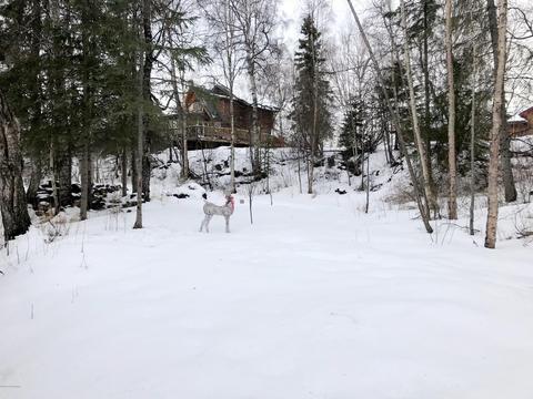 18827 Darby Rd, Eagle River, AK 99577 photo 11
