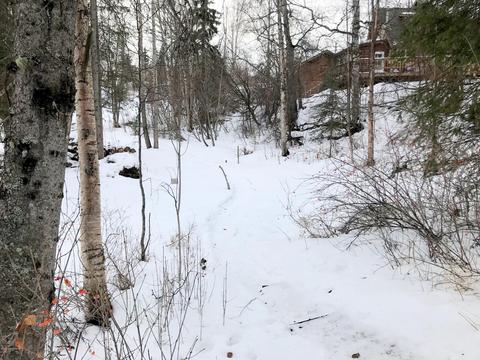 18827 Darby Rd, Eagle River, AK 99577 photo 10