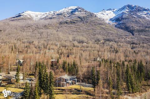 22753 Columbia Glacier Loop, Eagle River, AK 99577 photo 62