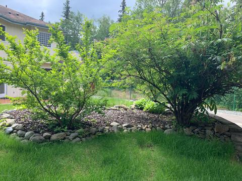 8508 Lassen Cir, Eagle River, AK 99577 photo 36