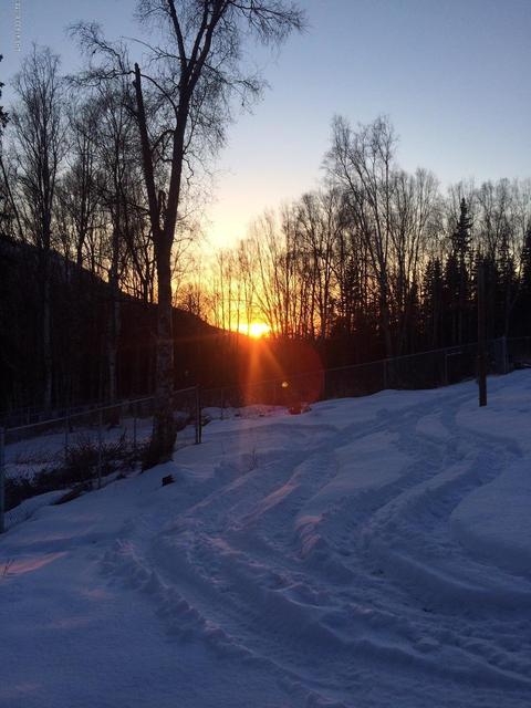 24437 Wilma Cir, Eagle River, AK 99577 photo 23