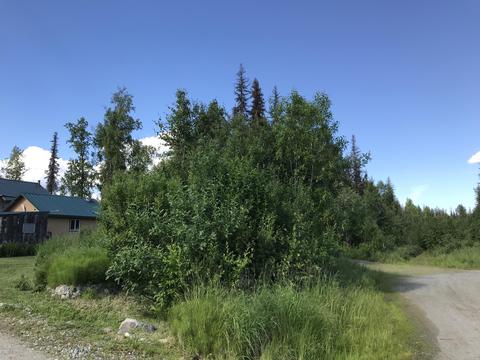 13763 E Hideaway Dr, Willow, AK 99688 photo 41