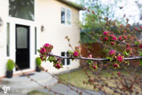731 Cedar St, Anchorage, AK 99501 photo 2