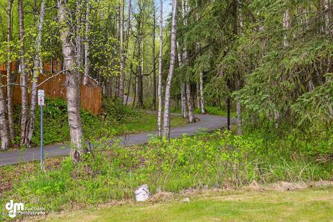 19829 S Montague Loop, Eagle River, AK 99577 photo 38