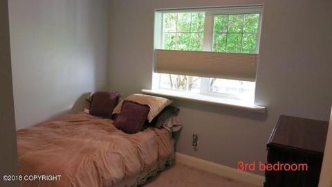 4440 E 138th Ave, Anchorage, AK 99516 photo 20