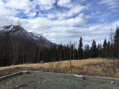 8125 Harmany Ranch Rd, Eagle River, AK 99577 photo 7