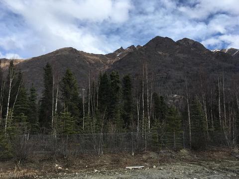 8125 Harmany Ranch Rd, Eagle River, AK 99577 photo 8