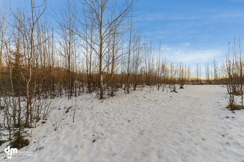 8870 Cross Pointe Loop, Anchorage, AK 99504 photo 31