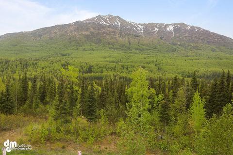 20217 Riverside Dr # 7A, Eagle River, AK 99577 photo 29