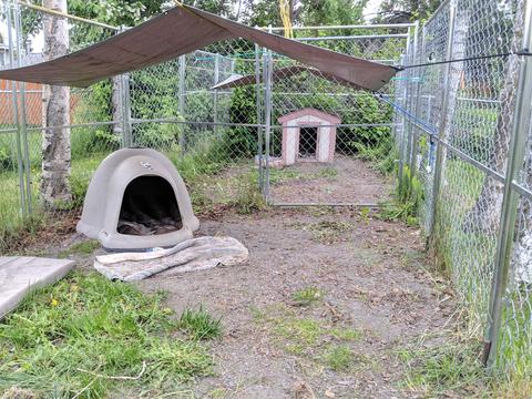 8410 E 10th Ave, Anchorage, AK 99504 photo 29